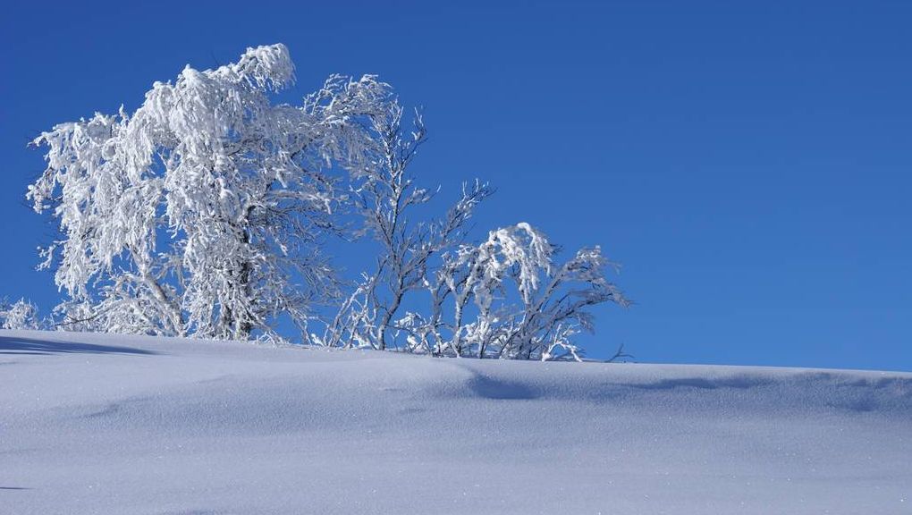 Natur