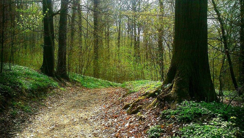 Natur