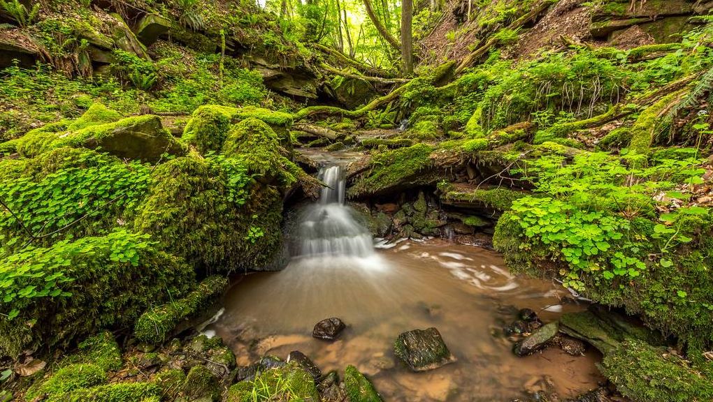 Natur