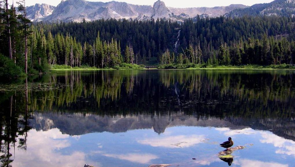 Natur