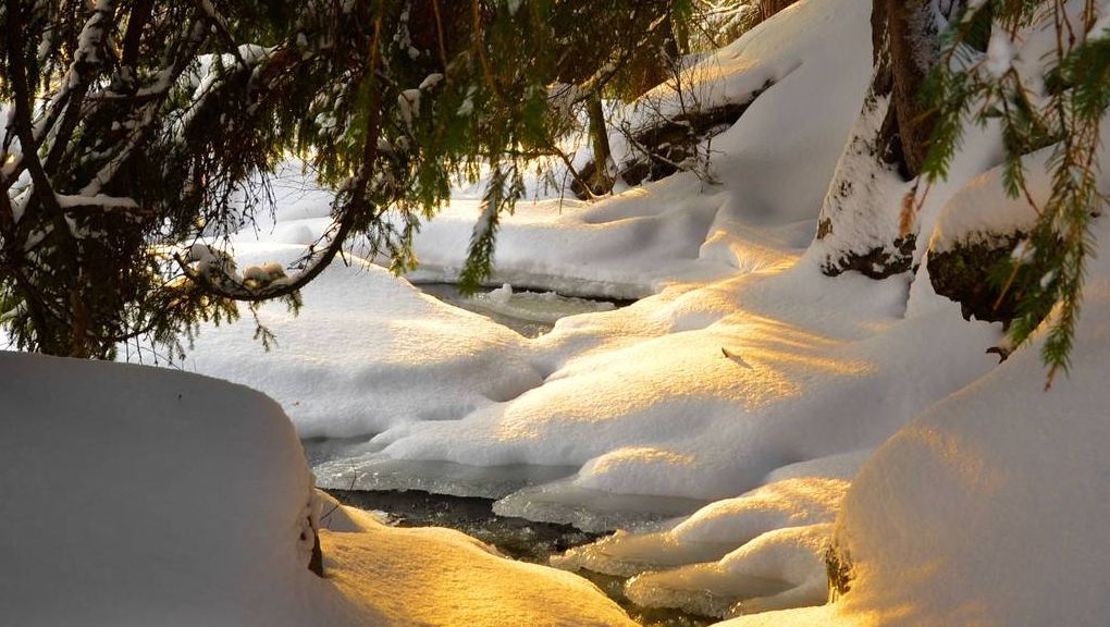 Natur