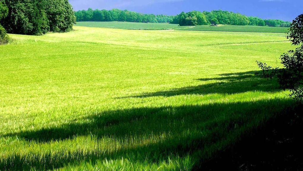 Natur