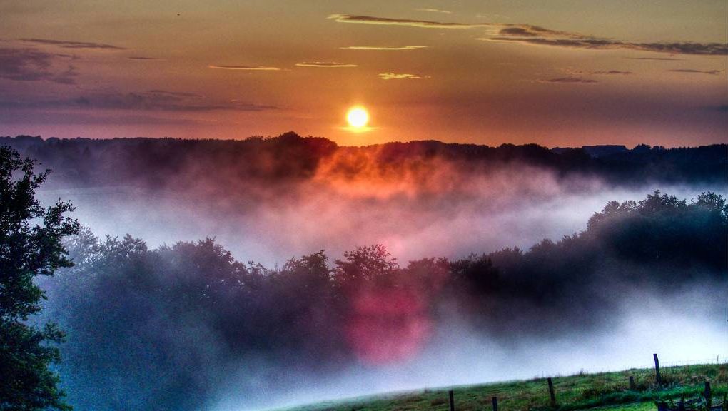Natur