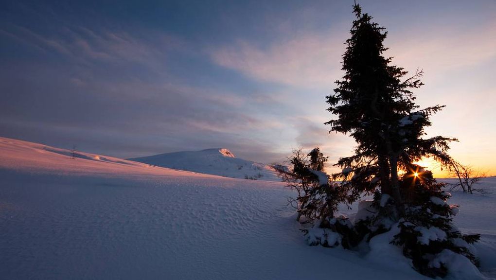 Natur