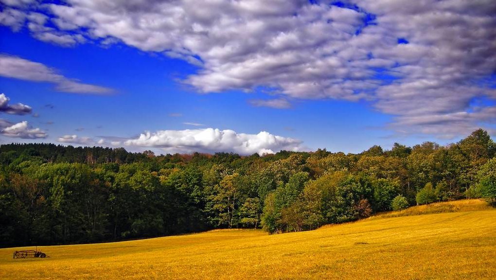 Natur