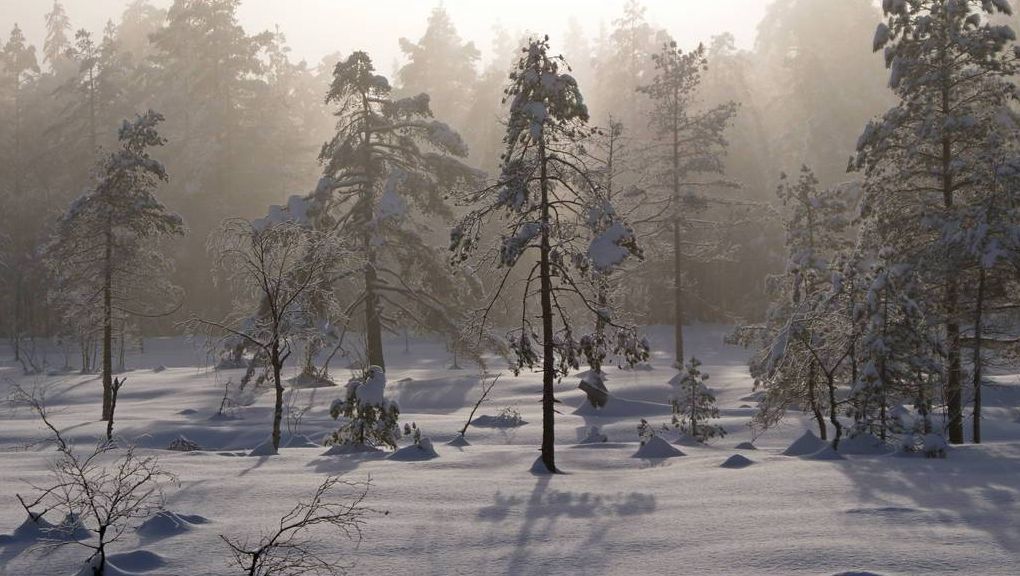 Natur
