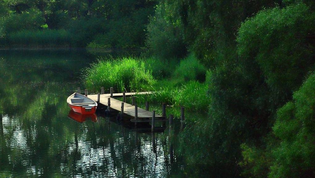 Natur