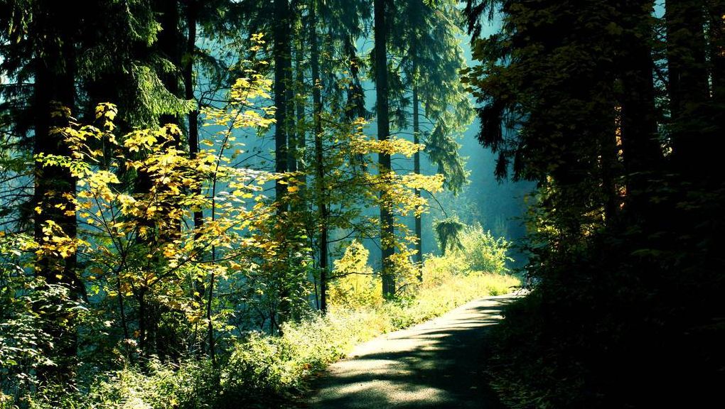 Natur