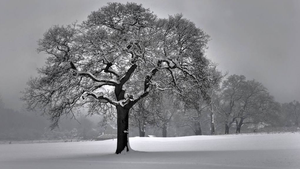 Natur