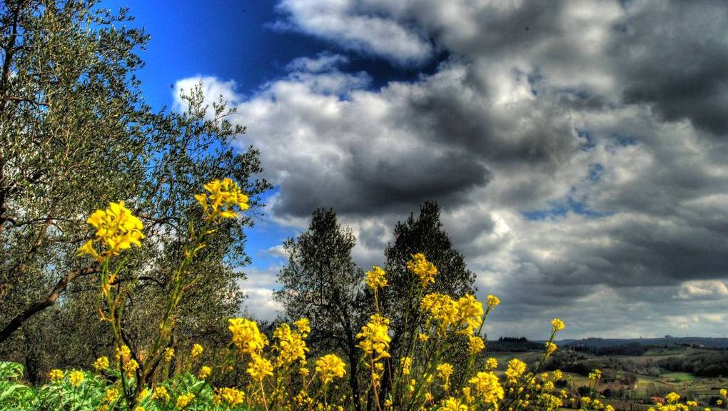 Natur