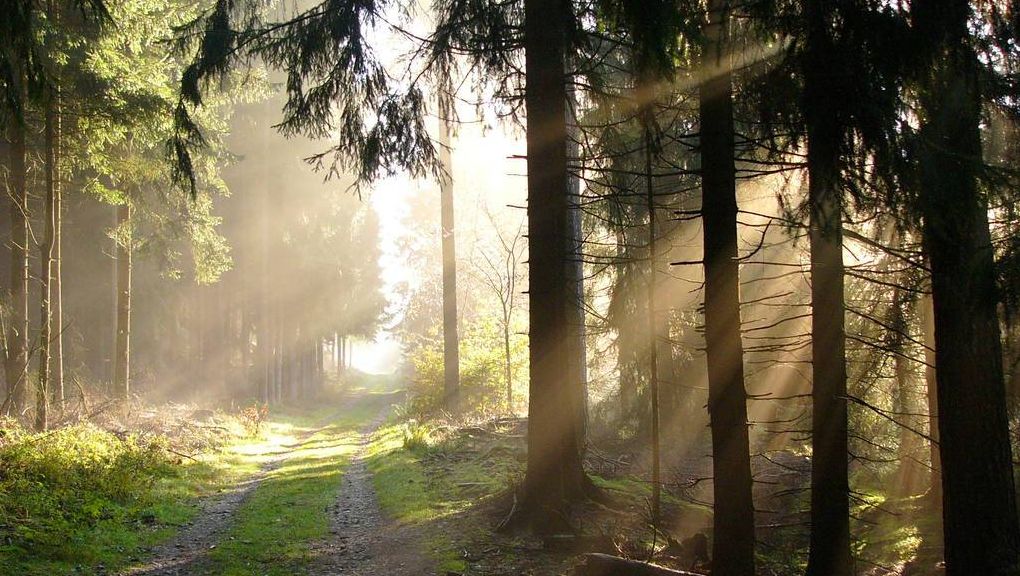 Natur