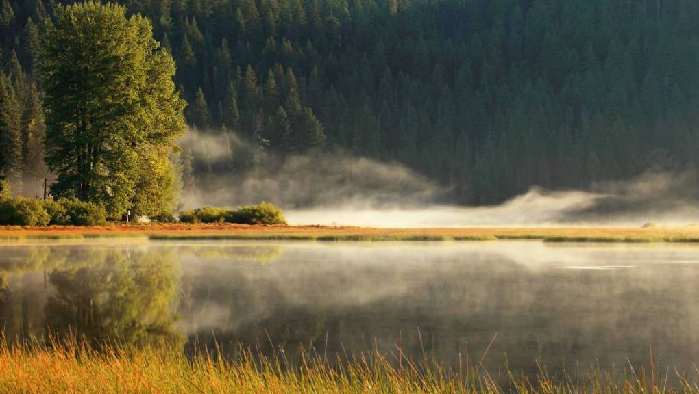 Natur