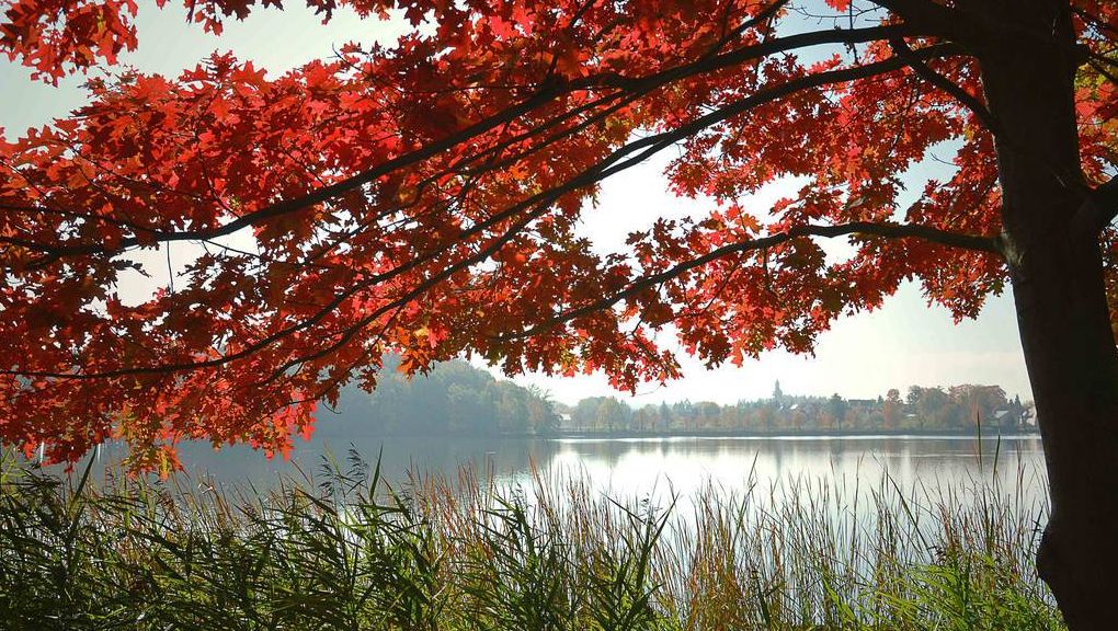 Natur