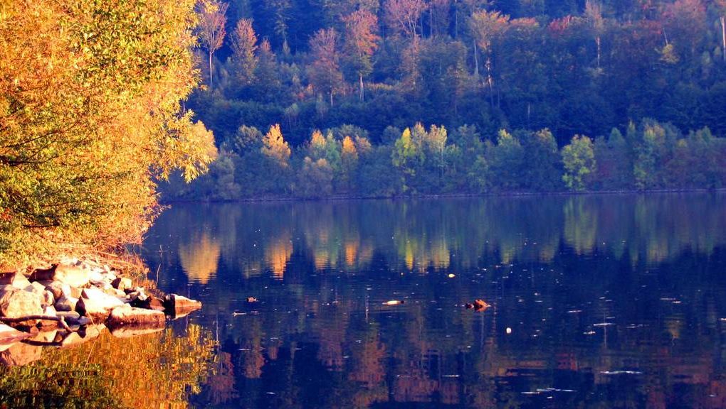 Natur