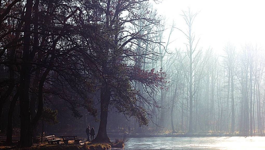 Natur