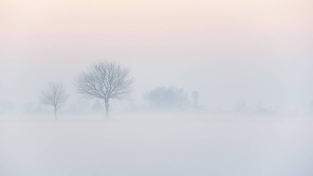 Natur