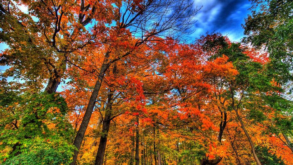 Natur