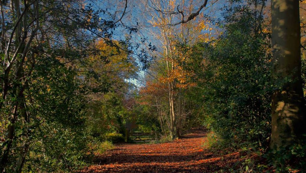 Natur