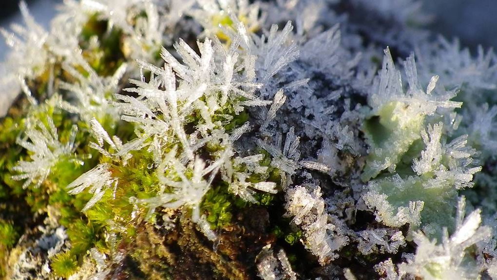 Natur