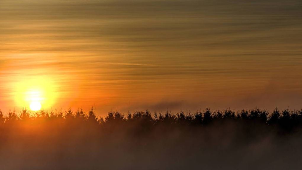 Natur