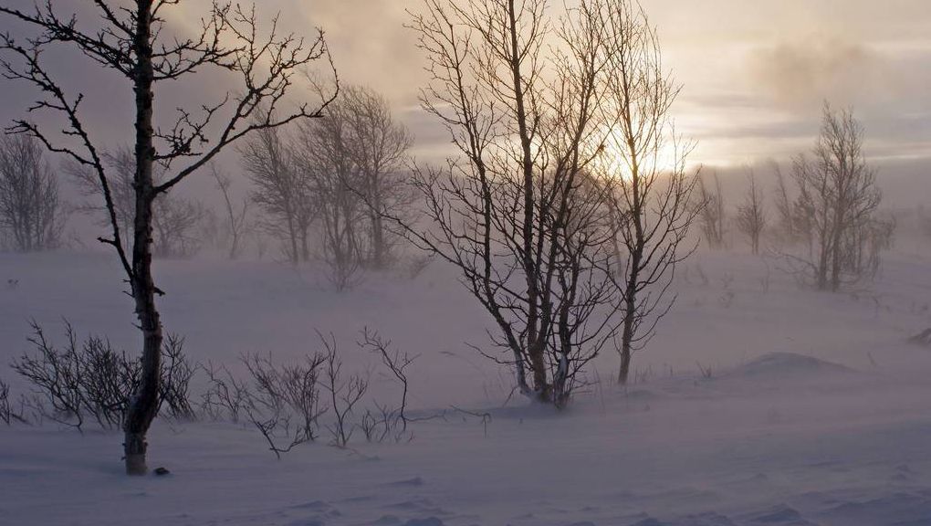 Natur
