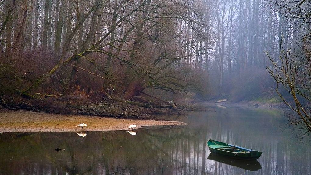 Natur