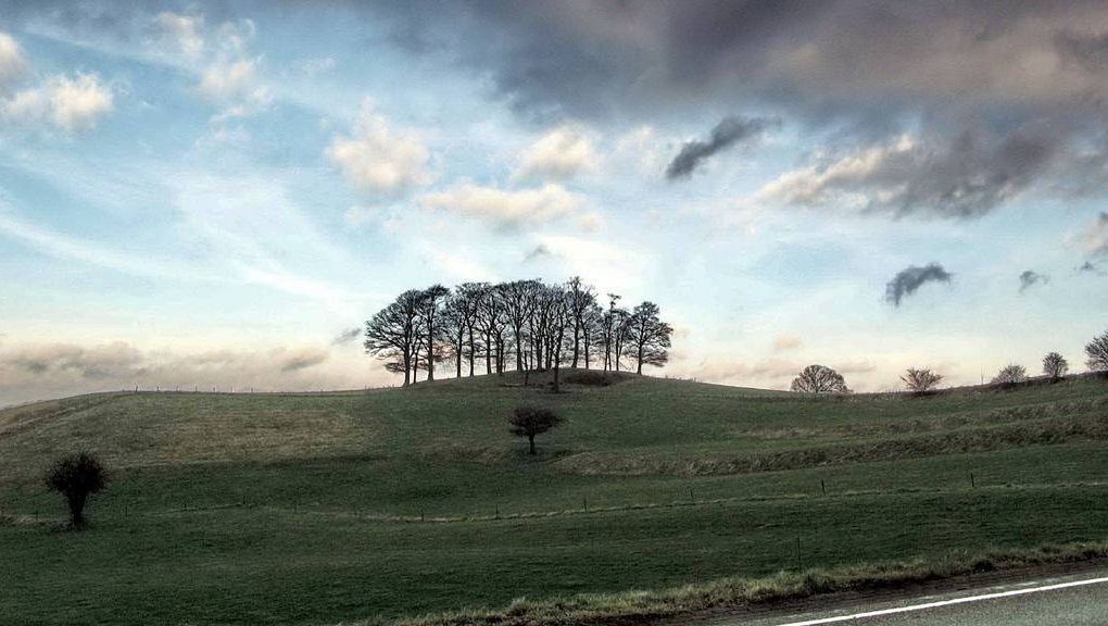 Natur