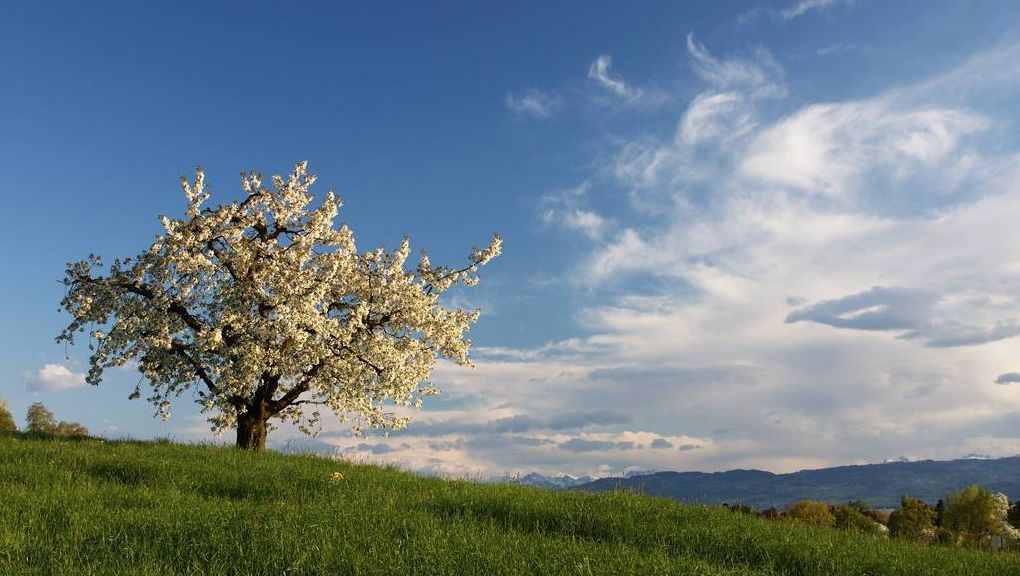 Natur
