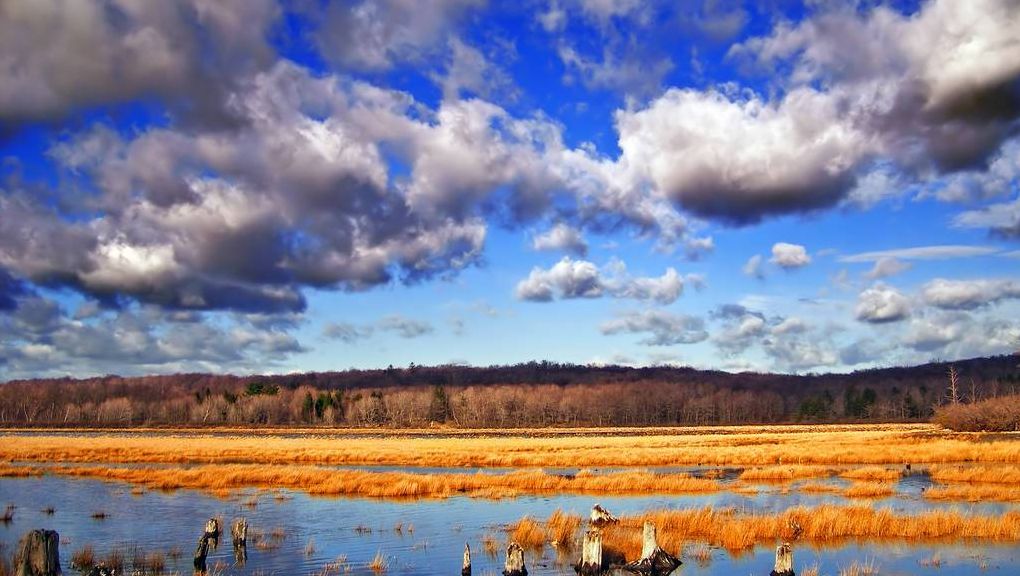 Natur