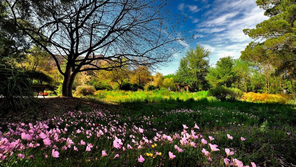 Natur