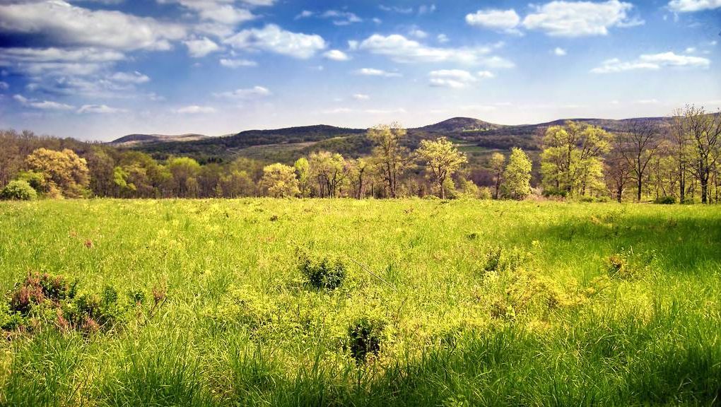 Natur