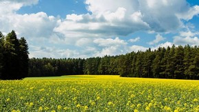 Natur
