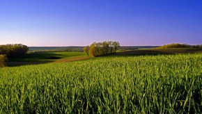 Natur