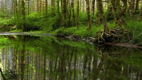 Natur