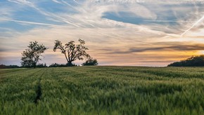 Natur
