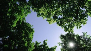Natur
