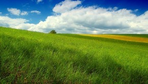Natur