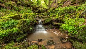 Natur