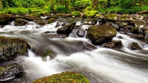 Natur