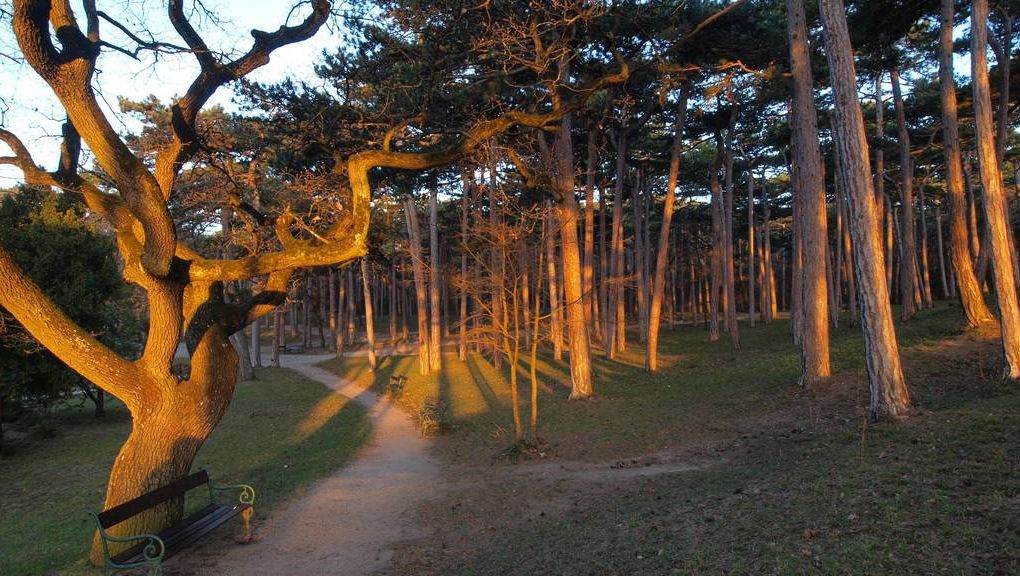 Natur