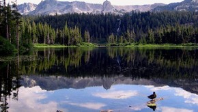 Natur