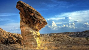 Natur
