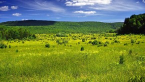 Natur