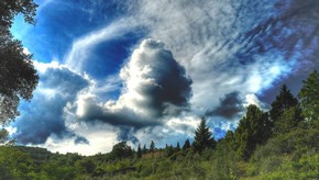 Natur