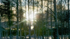 Natur