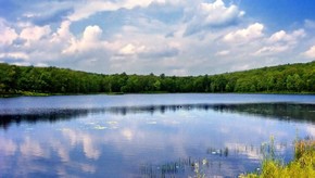 Natur