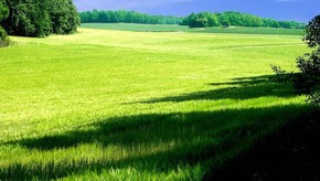 Natur