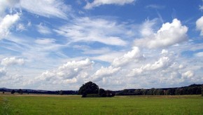 Natur