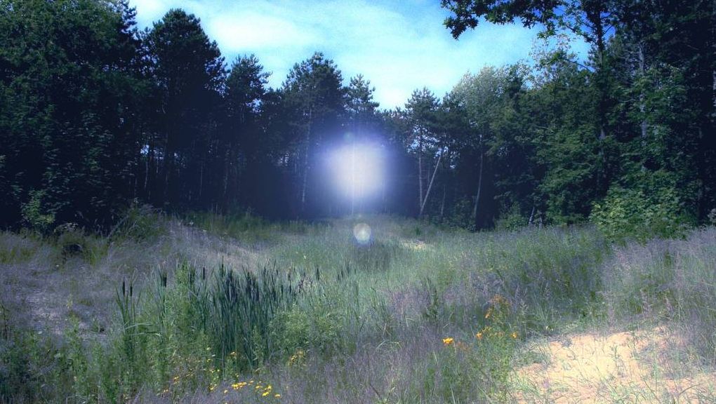 Natur