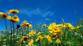 Natur